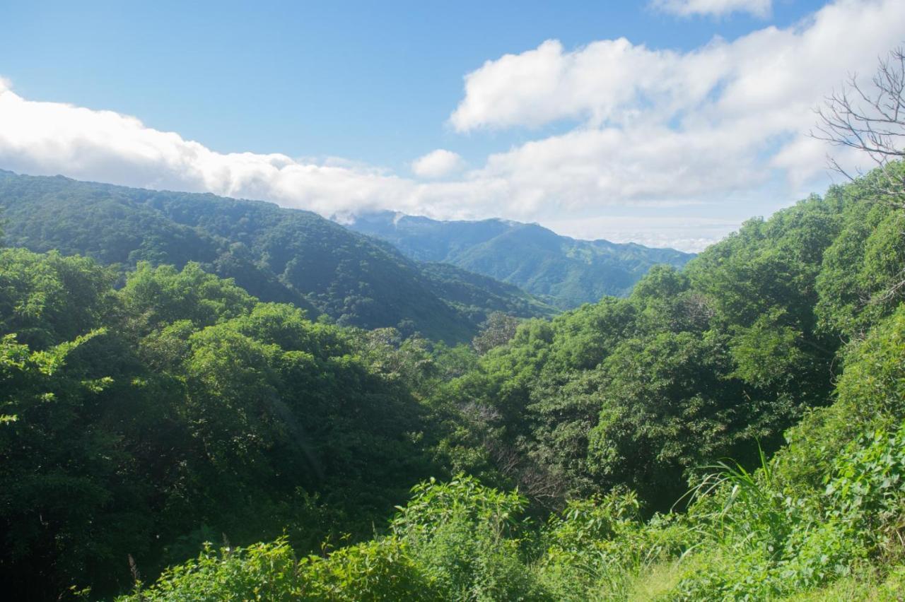 La Casa Bonita Leilighet Monteverde Eksteriør bilde