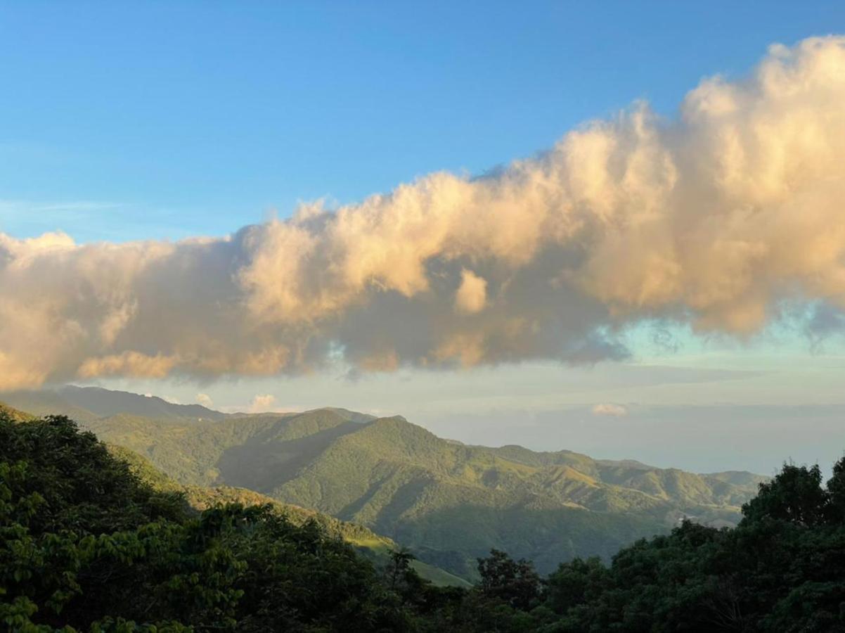 La Casa Bonita Leilighet Monteverde Eksteriør bilde
