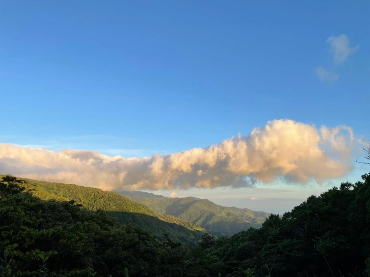 La Casa Bonita Leilighet Monteverde Eksteriør bilde